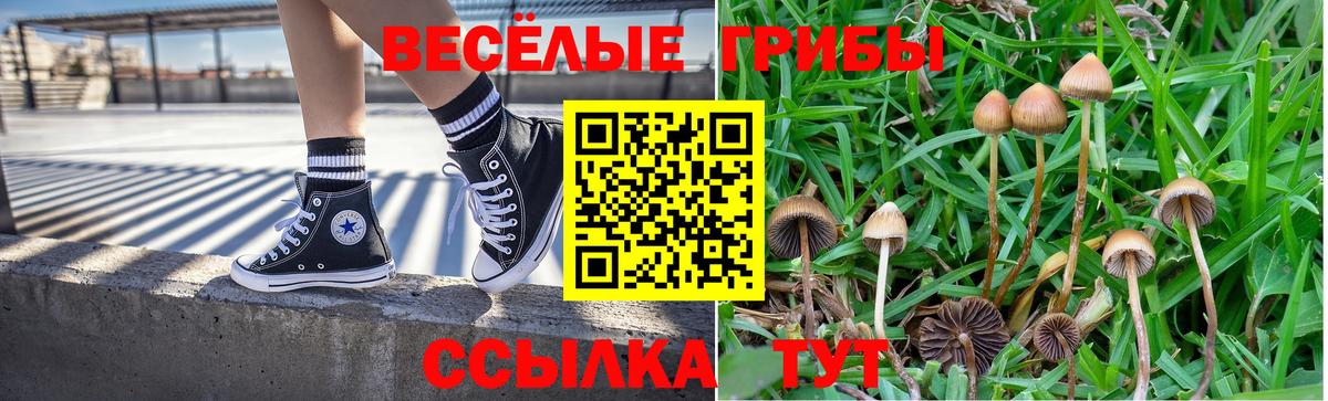 Галлюциногенные грибы мухоморы  Вход с VPN  Советский 